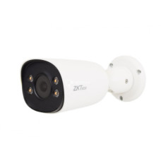 ZKTeco BS-852T11C-C з детекцией лиц для системи відеонагляду