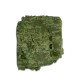 Camouflage Net Militex Multicam Spring 2x2.5m (Area 5 sq. m.)