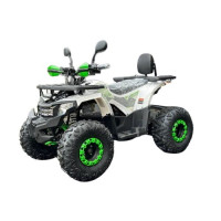 Electric Quad Bike E-ATV -1500W 60 V TIGER