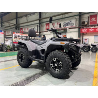 ATV FORTE ATV-300BS 2WD