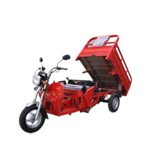 Грузовой мотоцикл Renegade LTA-200CC