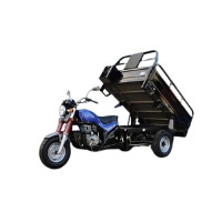 Cargo Tricycle Hercules Q1-S 200