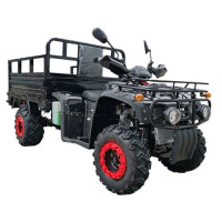 Quad Bike FORTE ATV-300BS-T