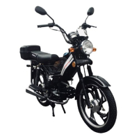 Motorcycle Forte FT110D