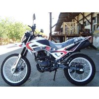 Motorcycle Spark SP150D-1