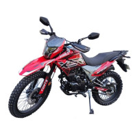 Motorcycle Forte CROSS 250 PRO