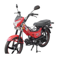 Motorcycle Spark SP125С-1CFN