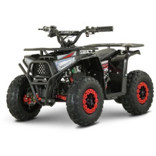 Электроквадроцикл Forte FFD1500