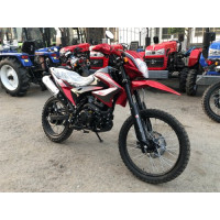 Motorcycle Forte FT200GY-C5B
