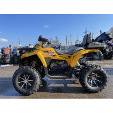 Comman Shark 200cc