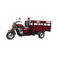 Cargo Motorcycle Zubr Horse HT-200
