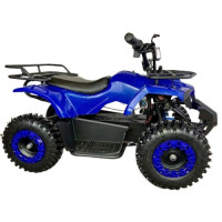 Electric Quad Bike Forte ATV1000RB