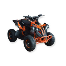 Электроквадроцикл Exdrive AVENGER EATV (MP3) 1000W