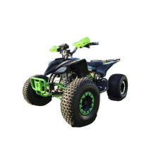 Электроквадроцикл Forte ATV1000I