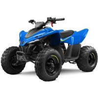 CFMOTO CFORCE 110 Quad Bike