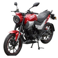 Motorcycle Spark SP 200R-33