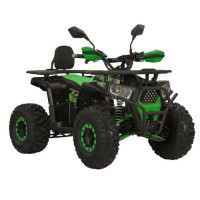 Electric Quad Bike Forte ATV1000G