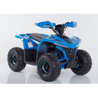 Electric Quad Bike Comman TEA750