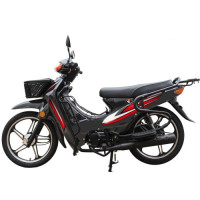 Motorcycle Spark SP110С-3C