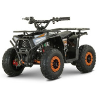 Electric Quad Bike Forte FFA1000