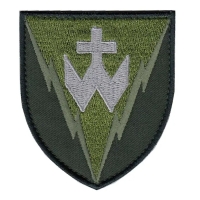 Patch 14th RTBr olive hook-and-loop