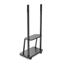 INTBOARD 43