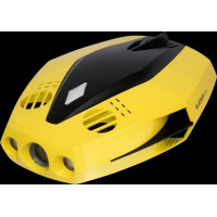Underwater Drone Chasing Dory