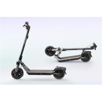 Electric Scooter Segway-Ninebot E3, Gray