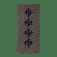Погон Camotec Капітан (5*10) Олива (8837)