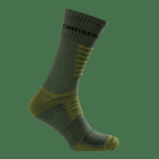 Шкарпетки Merino LongAir Pro Олива (8531)