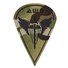 Patch Camotec Airmobile Forces 9.5*6.5 Multicam (8631)