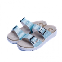 Women's Flip-Flops Blue 2008