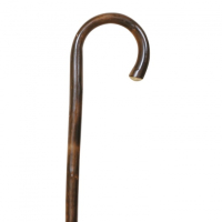Garcia Journey 22 Cane