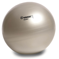 Togu MyBall Exercise Ball - 75 cm (Silver)