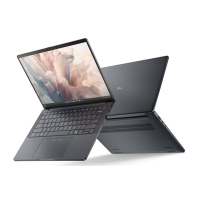 Dell Pro 13 Premium 13.3
