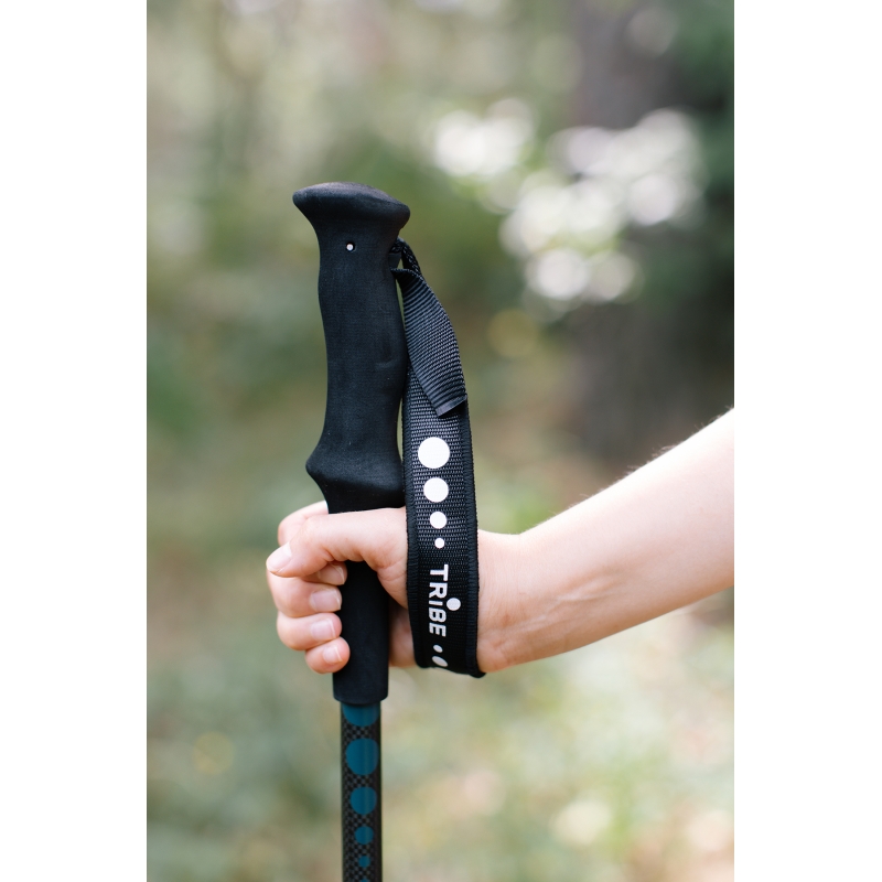 Трекінгові палиці Tribe Trekking Pole Carbon T-ME-0027-ocean