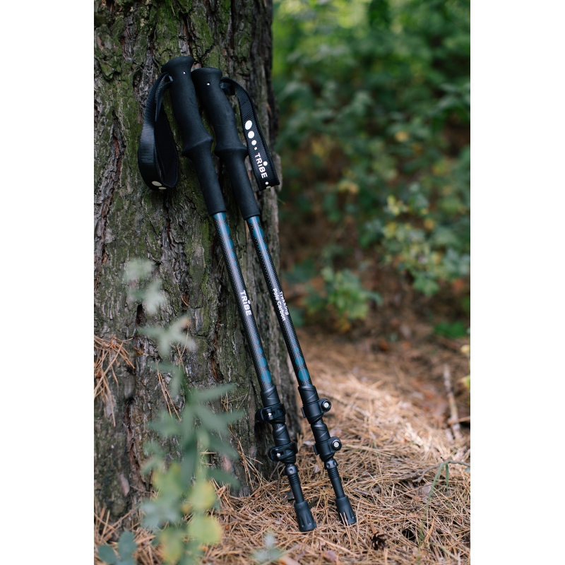 Трекінгові палиці Tribe Trekking Pole Carbon T-ME-0027-ocean
