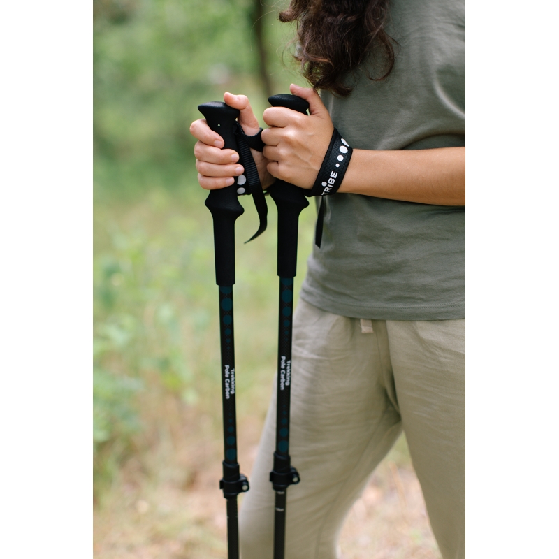 Трекінгові палиці Tribe Trekking Pole Carbon T-ME-0027-ocean