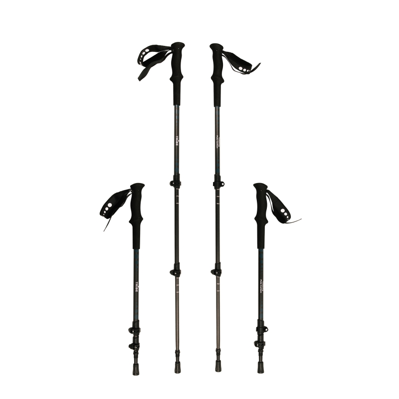 Трекінгові палиці Tribe Trekking Pole Carbon T-ME-0027-ocean