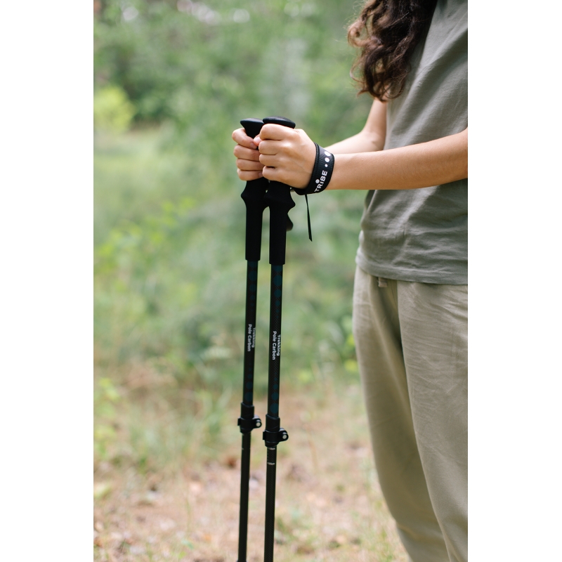 Трекінгові палиці Tribe Trekking Pole Carbon T-ME-0027-ocean