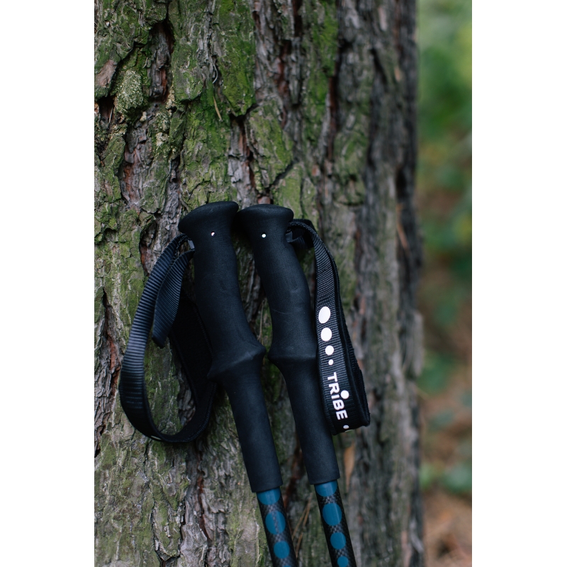 Трекінгові палиці Tribe Trekking Pole Carbon T-ME-0027-ocean