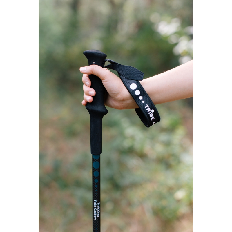 Трекінгові палиці Tribe Trekking Pole Carbon T-ME-0027-ocean