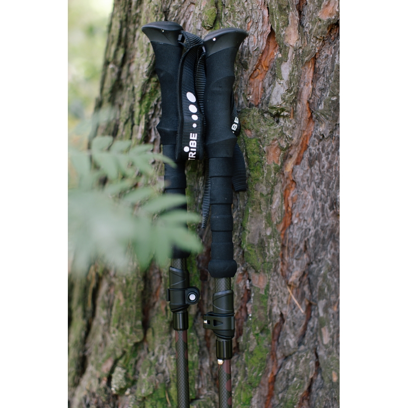 Трекінгові палиці Tribe Z-Pole Carbon T-ME-0025-plum