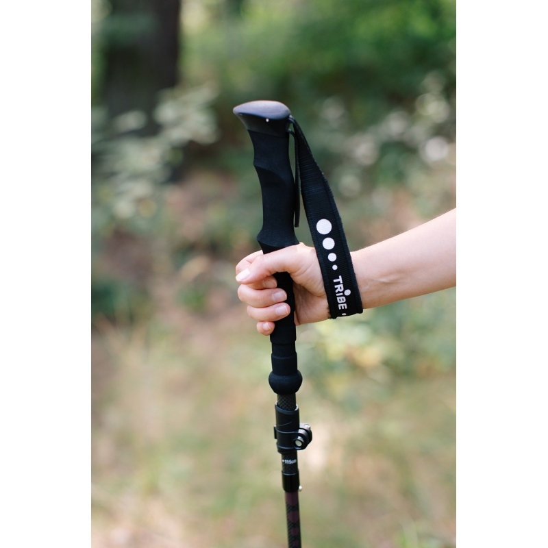 Трекінгові палиці Tribe Z-Pole Carbon T-ME-0025-plum