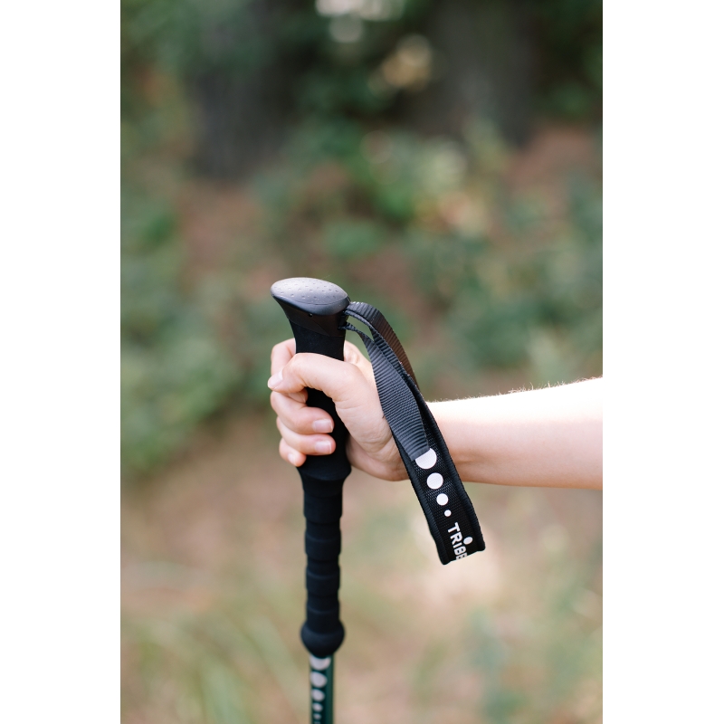 Трекінгові палиці Tribe Trekking Pole Alu T-ME-0026-ocean
