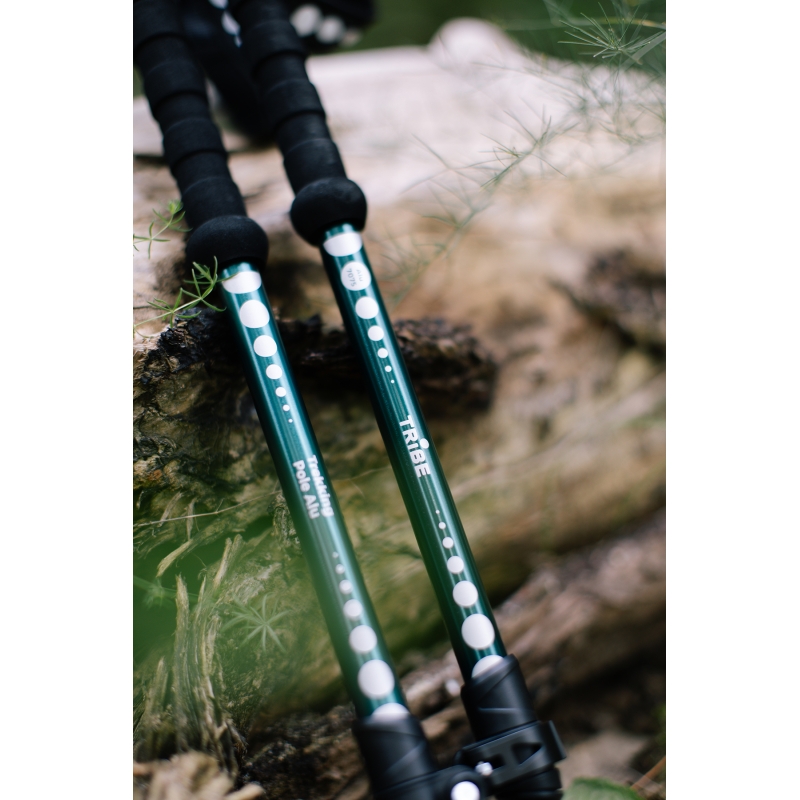Трекінгові палиці Tribe Trekking Pole Alu T-ME-0026-ocean