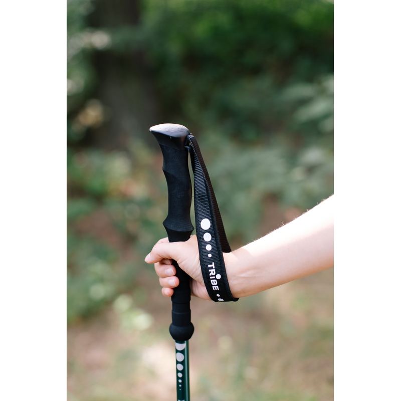 Трекінгові палиці Tribe Trekking Pole Alu T-ME-0026-ocean