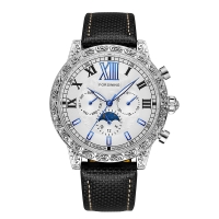 Watch Forsining 6923 Silver-White