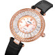 Watch Skmei 2009BK Black