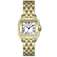 Watch GUARDO 012827-2